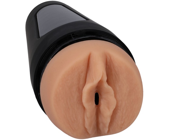 Find Your Favorite Brand