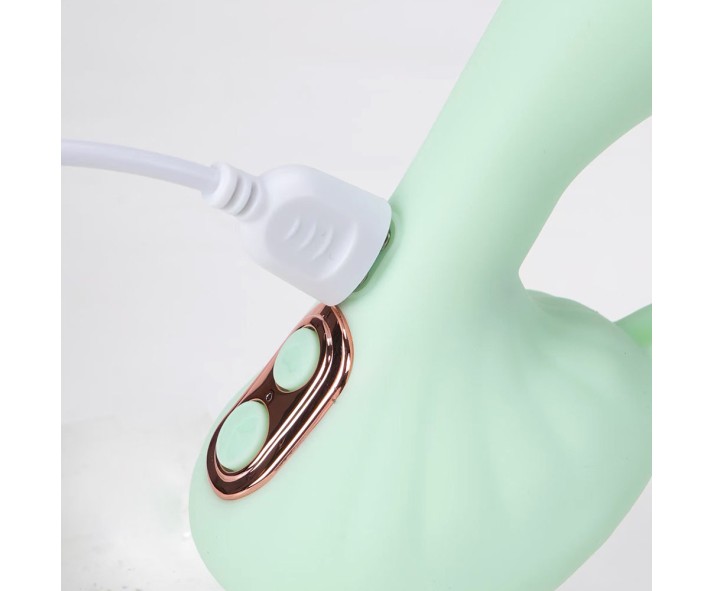 Find Your Favorite Brand