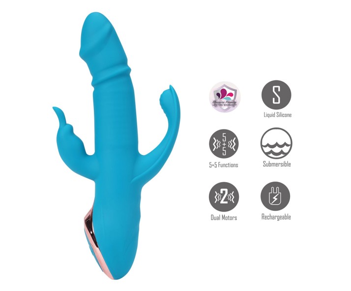 Find Your Favorite Brand