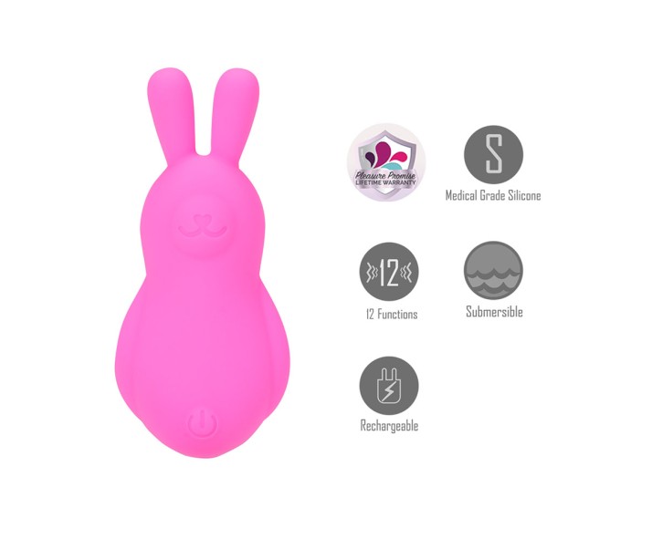 Find Your Favorite Brand