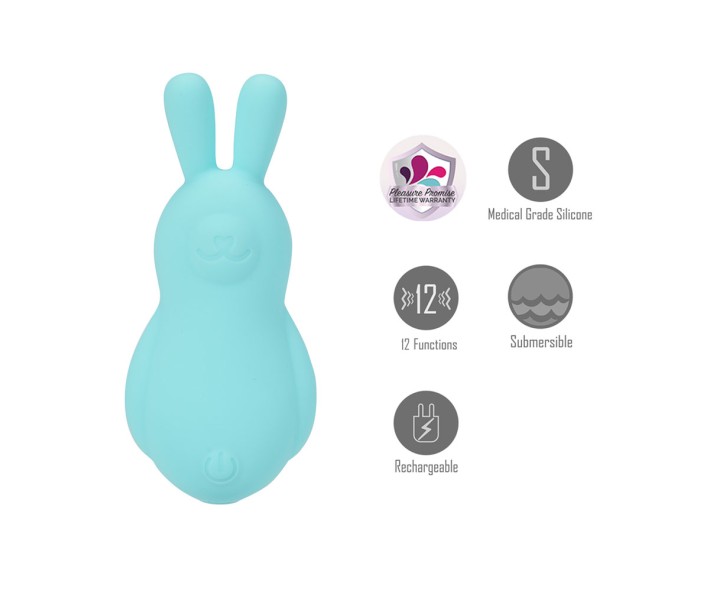 Find Your Favorite Brand