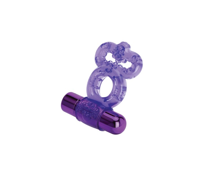 Find Your Favorite Brand