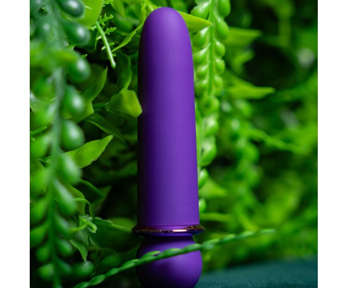 Find Your Favorite Brand