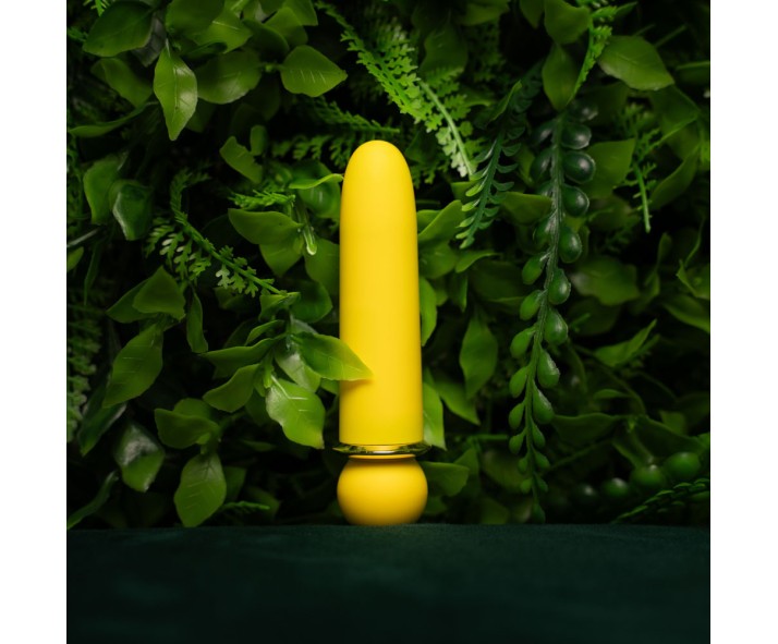 Find Your Favorite Brand