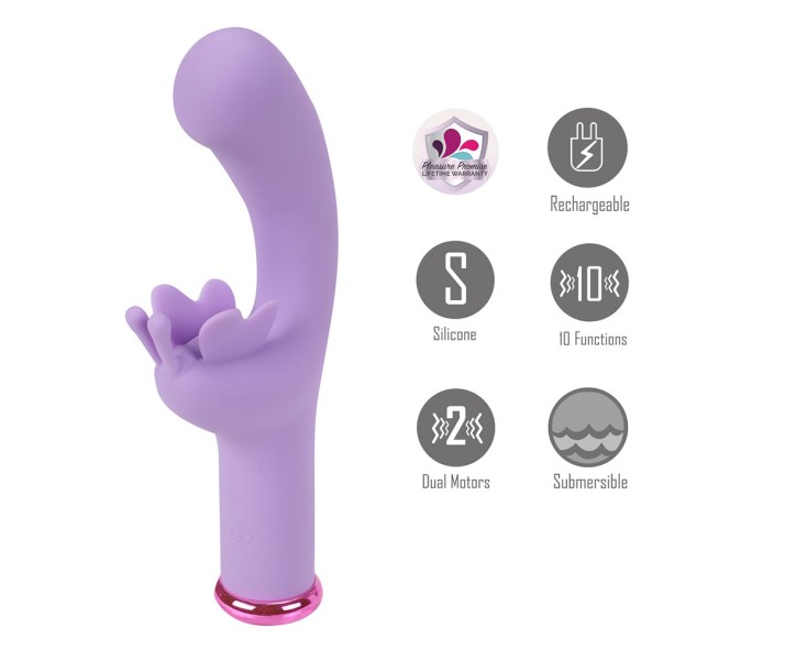 Find Your Favorite Brand