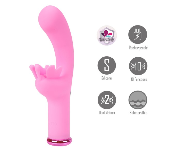 Find Your Favorite Brand