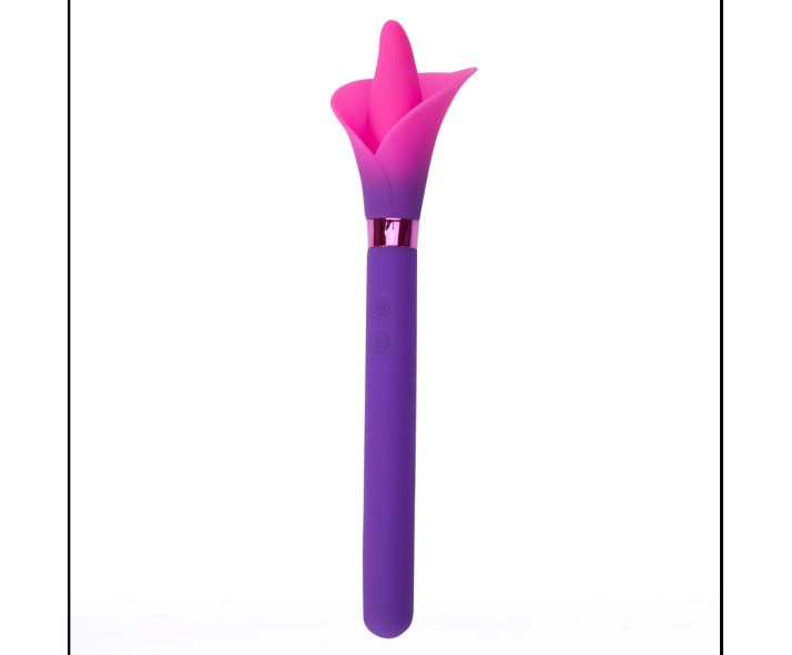 Find Your Favorite Brand