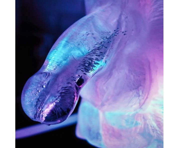 Huge Penis Ice Luge Huge Penis Ice Luge