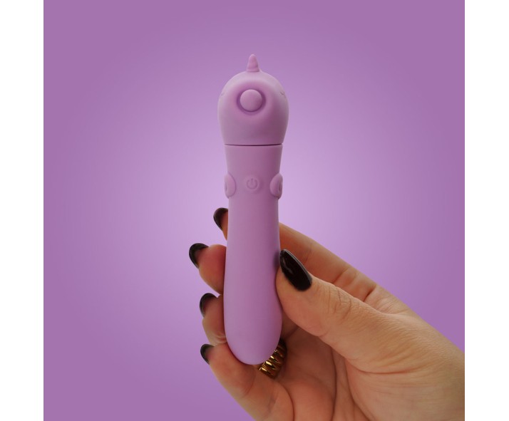 Find Your Favorite Brand