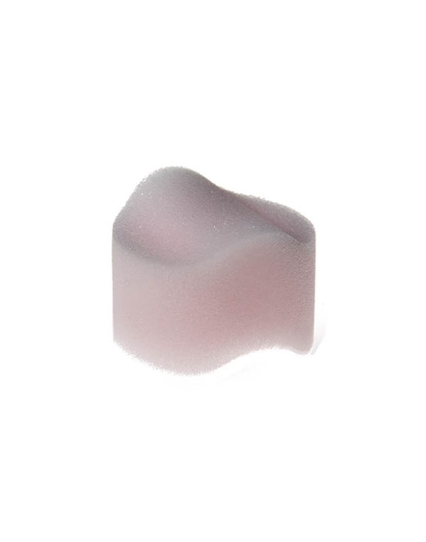 Beppy Classic Sponge
